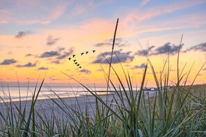 Eine Küstenlandschaft mit Gras im Vordergrund und einem Sonnenuntergang im Hintergrund.
