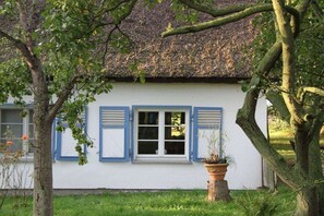 A white building with blue shutters, a window, and a potted plant. - Holiday home in Usedom with swimming pool (Usedom)