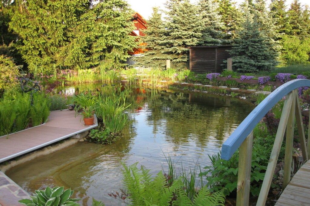 A tranquil garden with a pond, wooden bridge, and lush greenery.