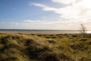 A beach with grassy dunes and a clear sky. - Hahnenhof Apartment 7 (Wrixum)