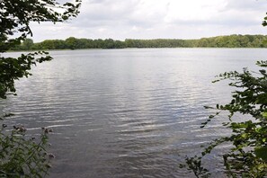 A calm lake with a forested shoreline. - Holiday home in Zislow with swimming pool (Zislow)