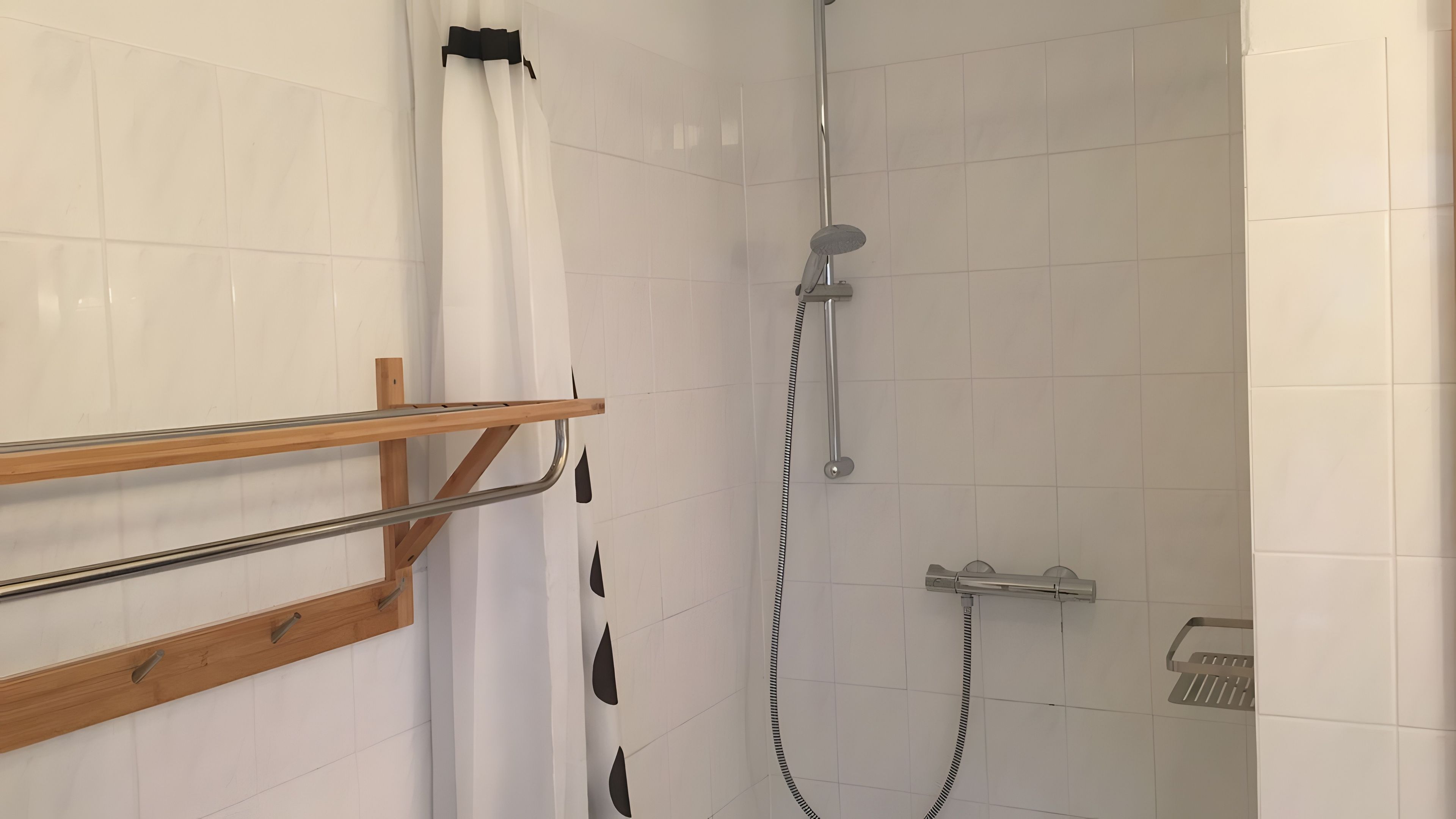 A shower area with a handheld showerhead, a towel rack, and a wall-mounted control panel.