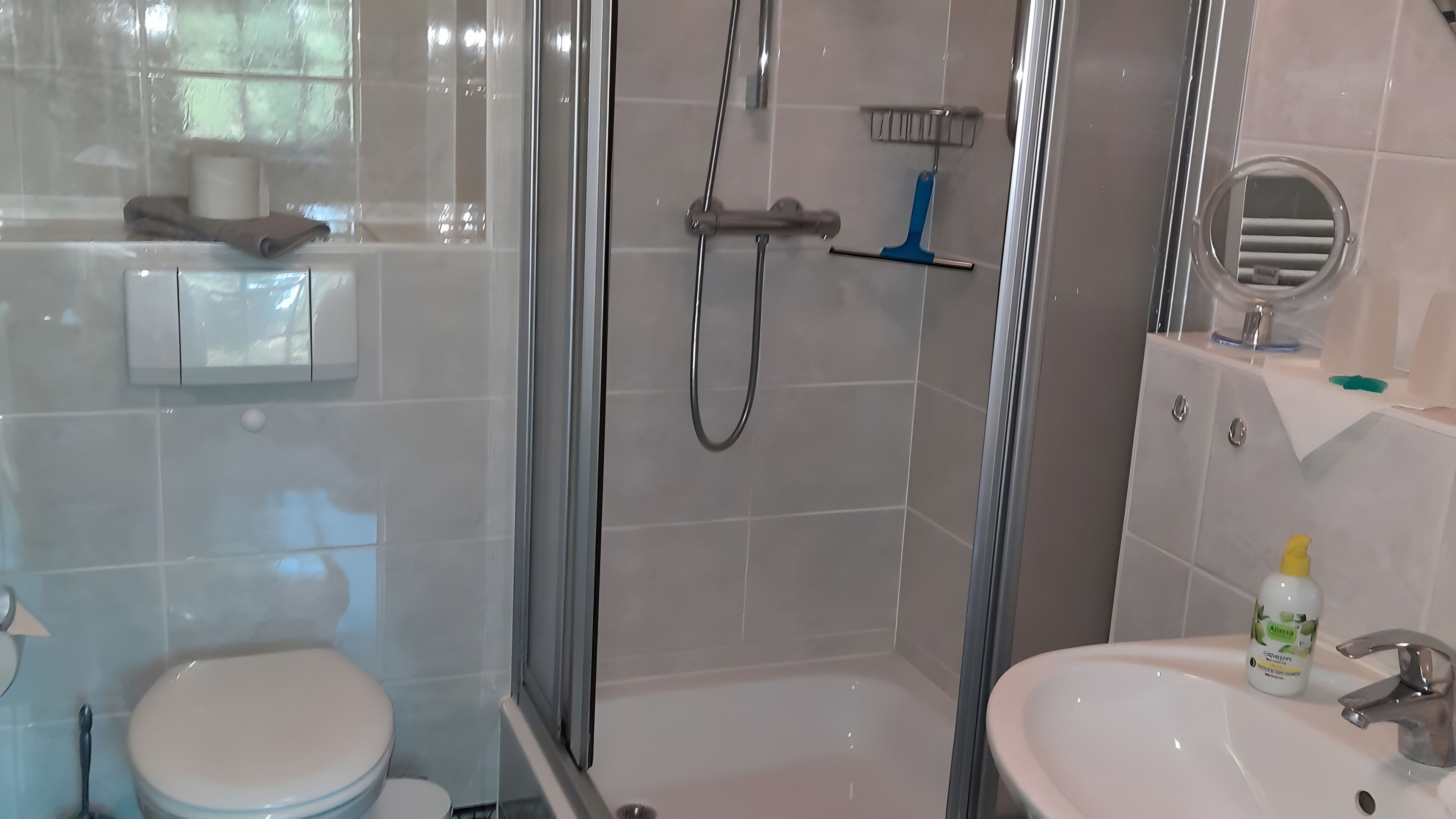 Ein Badezimmer mit Toilette, einer Dusche mit Glastür und einem Waschbecken mit Spiegel.