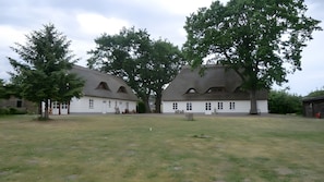 Eksteriør
