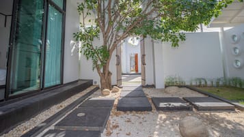 A pathway leading to a building entrance with a tree, steps, and a gravel area.