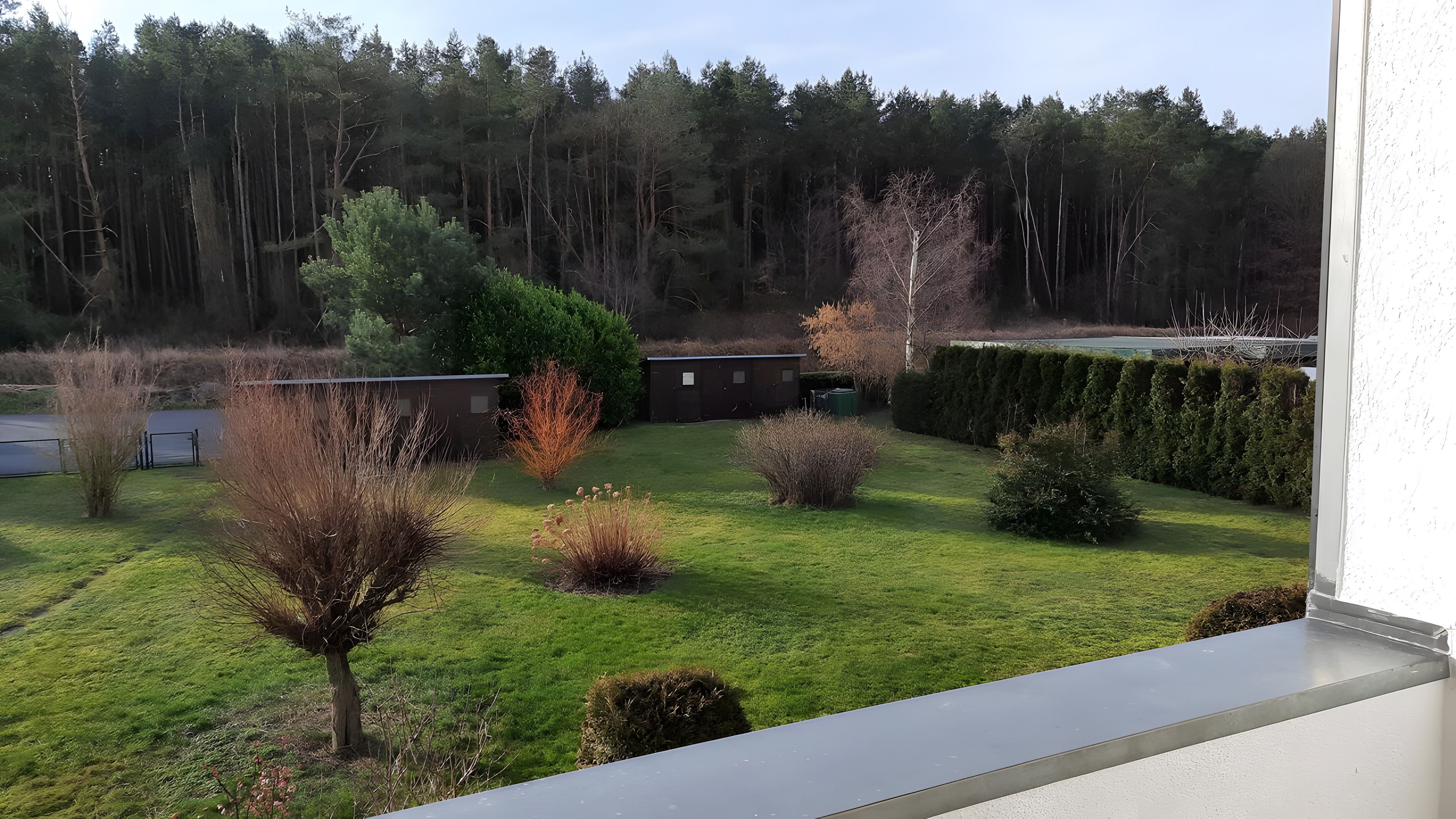 Vista de un patio con césped, diversos árboles y arbustos, un cobertizo pequeño y un seto.