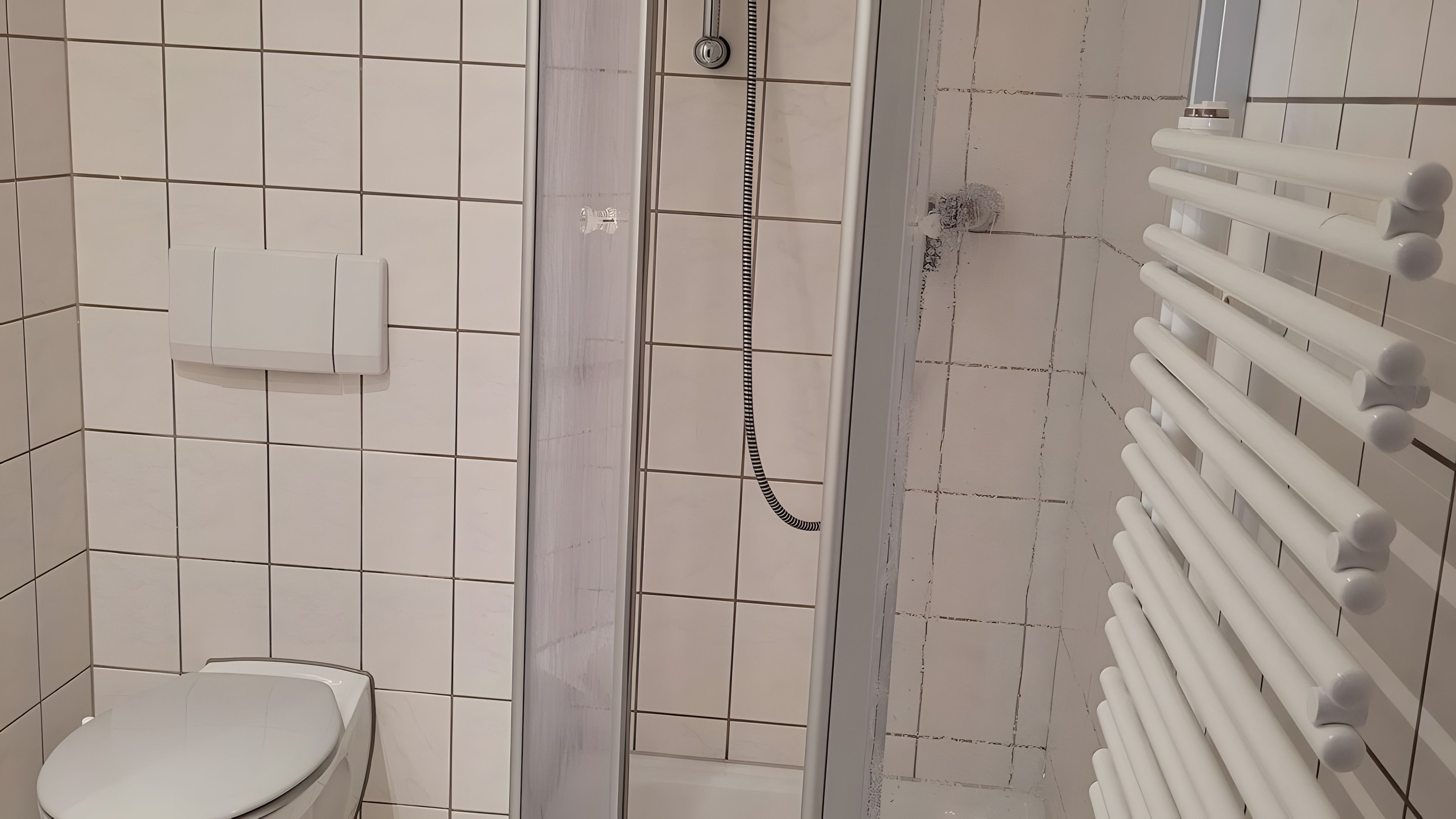 Un bany amb vàter, dutxa amb porta de vidre i barra de tovalloles.