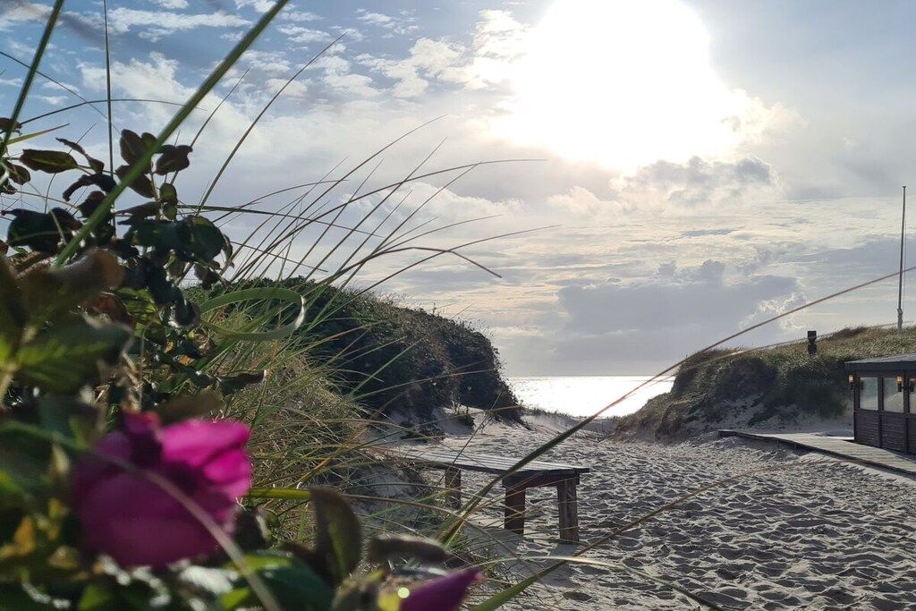 Una playa con un banco de madera, un sendero y una pequeña construcción.