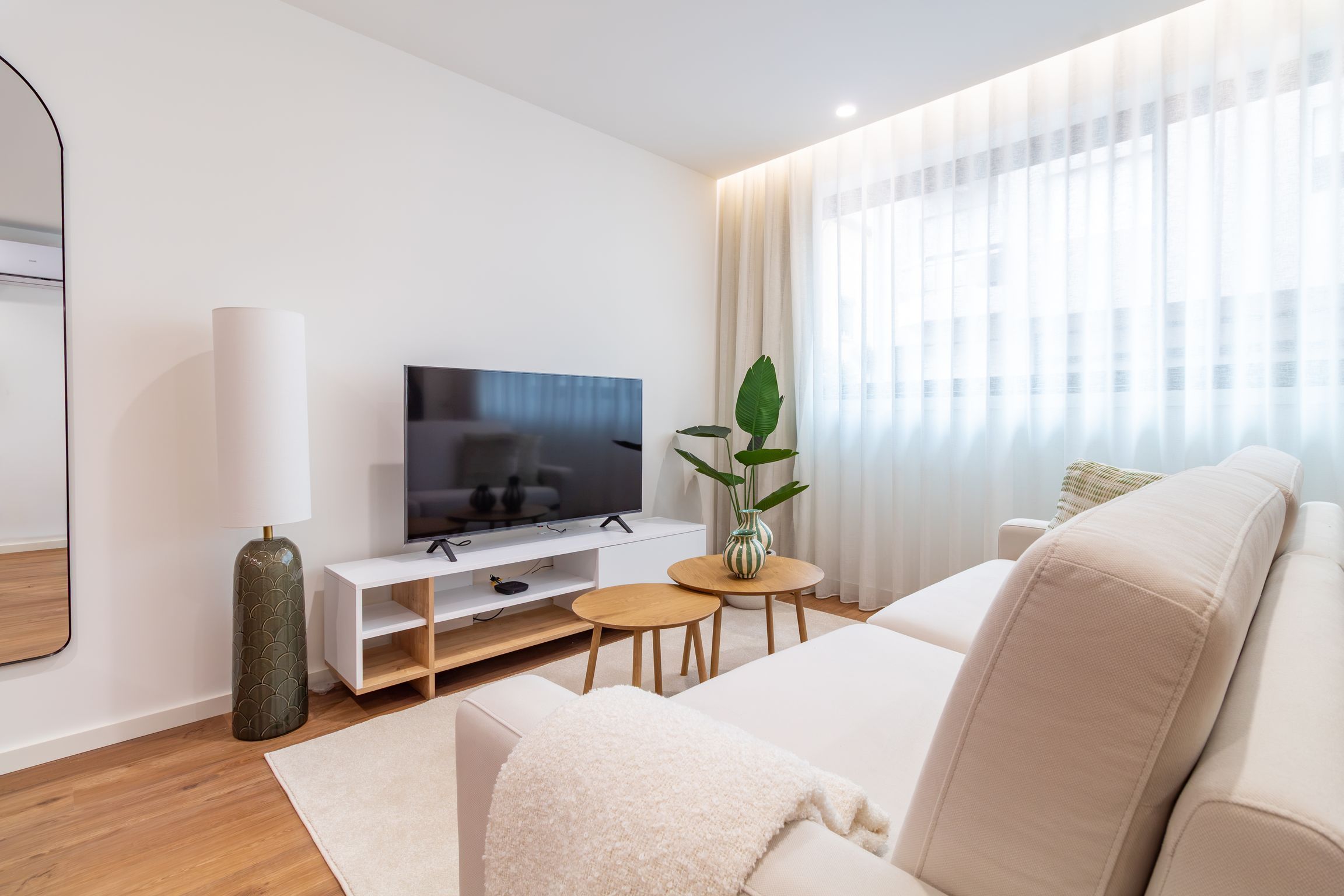 Ein modernes Wohnzimmer mit Flachbildfernseher, einer Couch, einem Couchtisch und einer Pflanze.