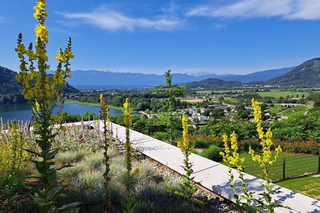 Vista panorámica de un paisaje montañoso con un lago, un camino y flores amarillas en primer plano.