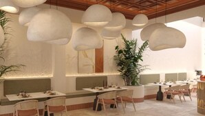 A restaurant with round tables, cushioned chairs, pendant lighting, and a large potted plant.