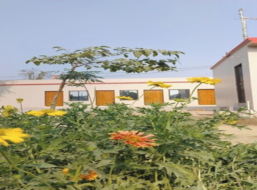 A building with multiple windows and a tree in the foreground.