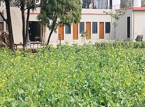 Un edificio con varios ventanales y un árbol en primer plano.
