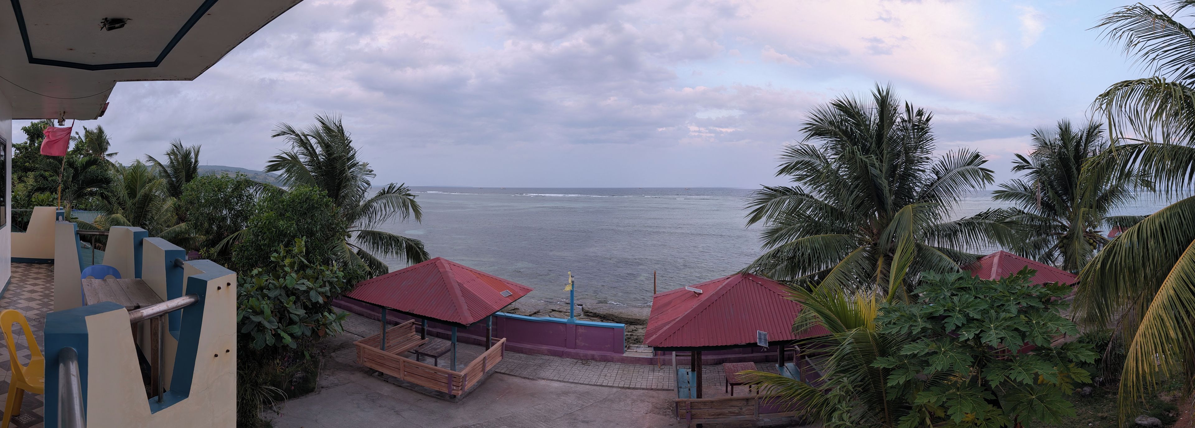 Une vue côtière avec une plage, des palmiers et un bâtiment doté d’un toit rouge.