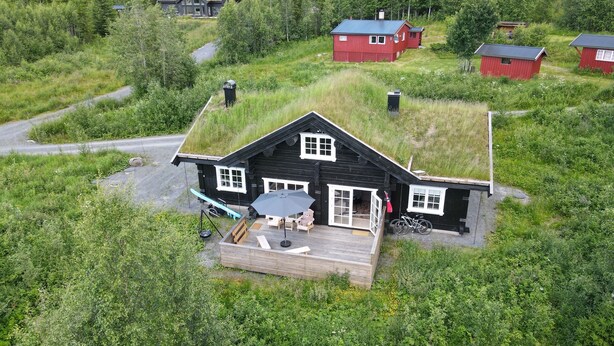 A house with a grass roof, a deck with outdoor furniture, and a forested backdrop.