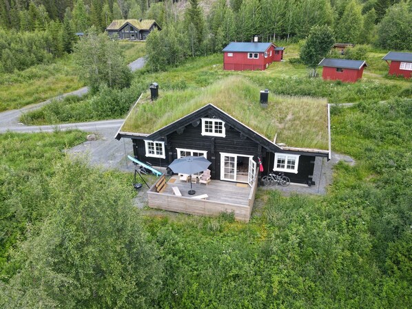 A house with a grass roof, a deck with outdoor furniture, and a forested backdrop.