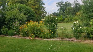A garden with various flowering plants and a green lawn.