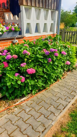 En rabatt med vackra, rosa blommor, en mur av tegelsten och ett trästaket.