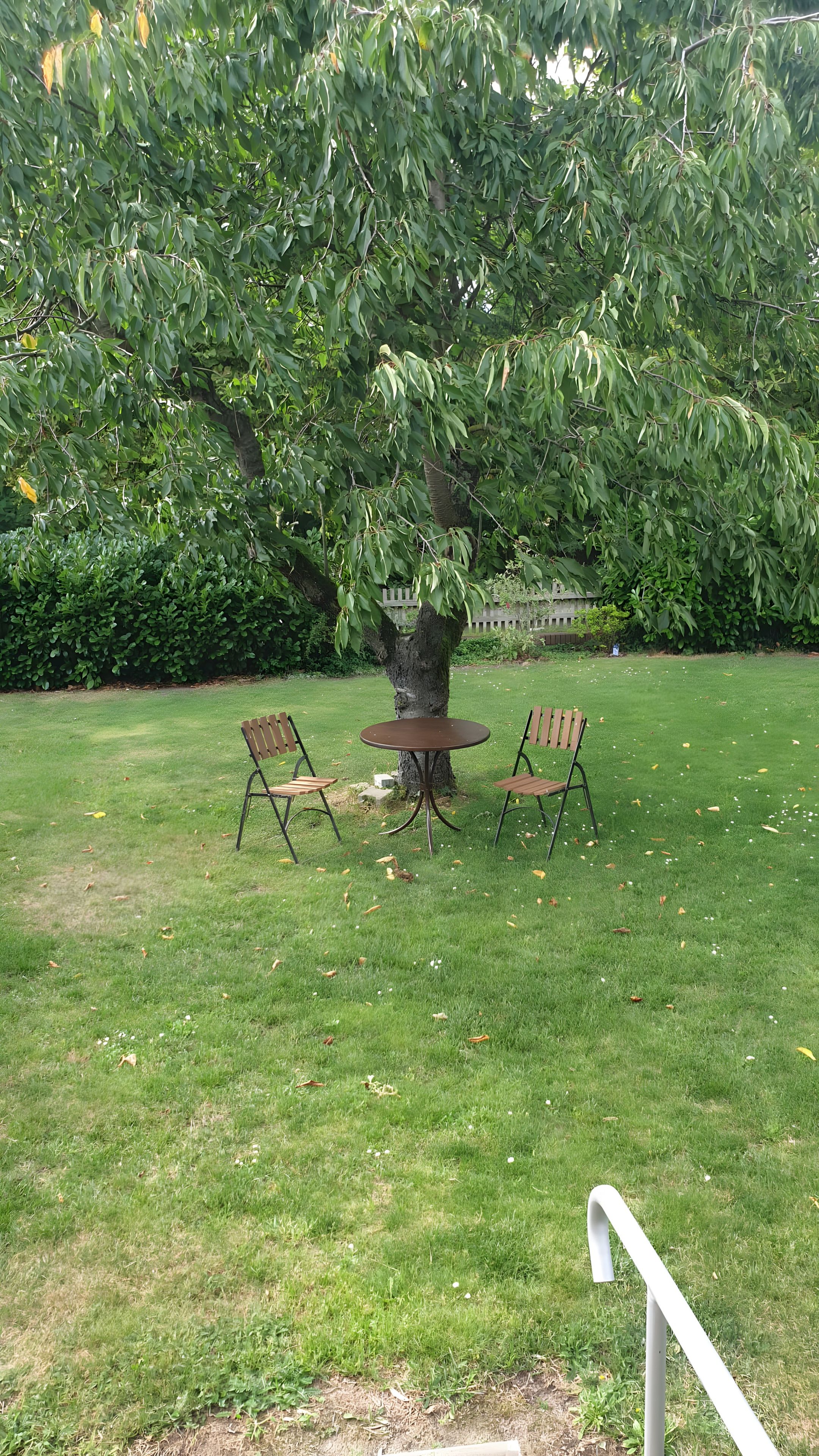 A round table with two chairs in a grassy area with trees in the background.