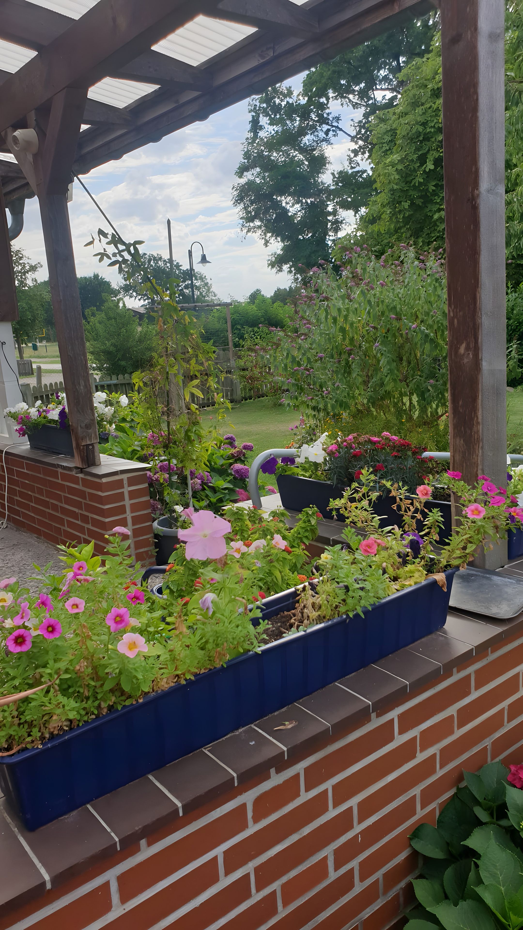 Un jardí amb diferents parterres i una paret de maó.