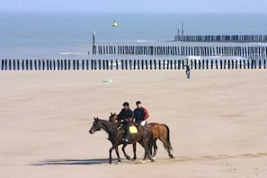 Ein Strand mit einer Holzsteganlage im Hintergrund.