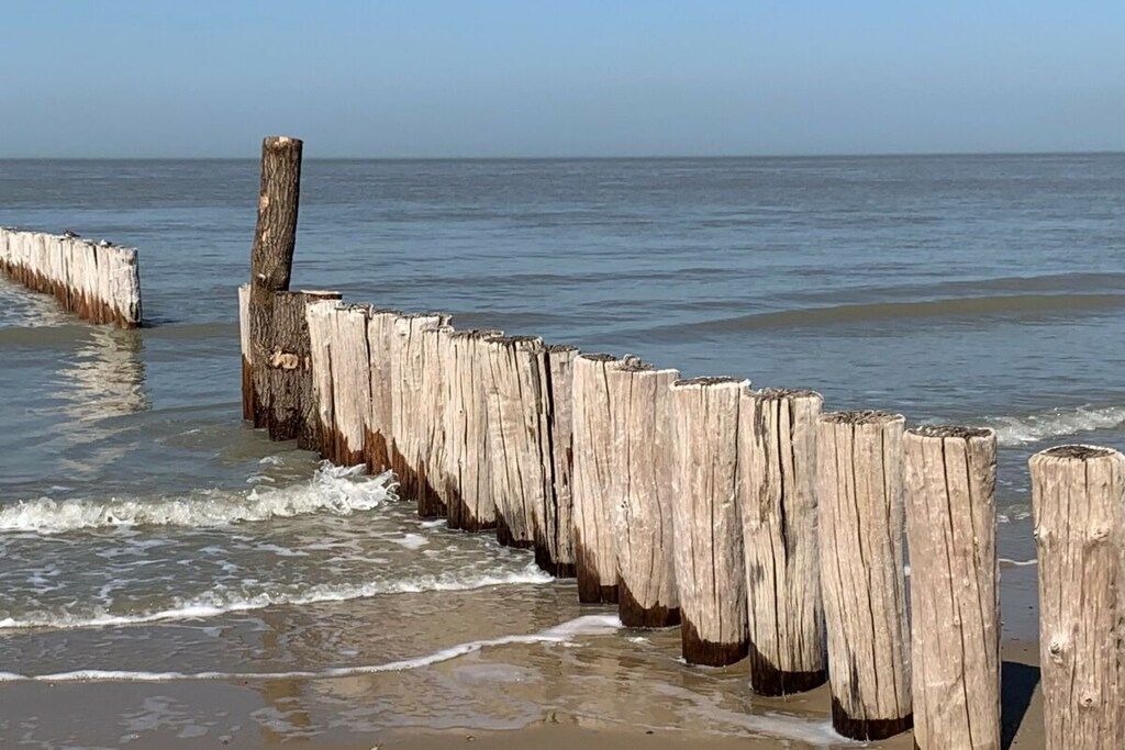 Une digue en bois qui s’avance dans l’eau.