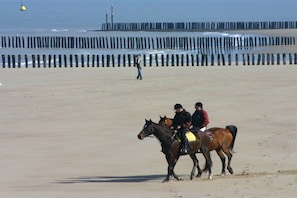 Een strand met een houten steiger op de achtergrond.