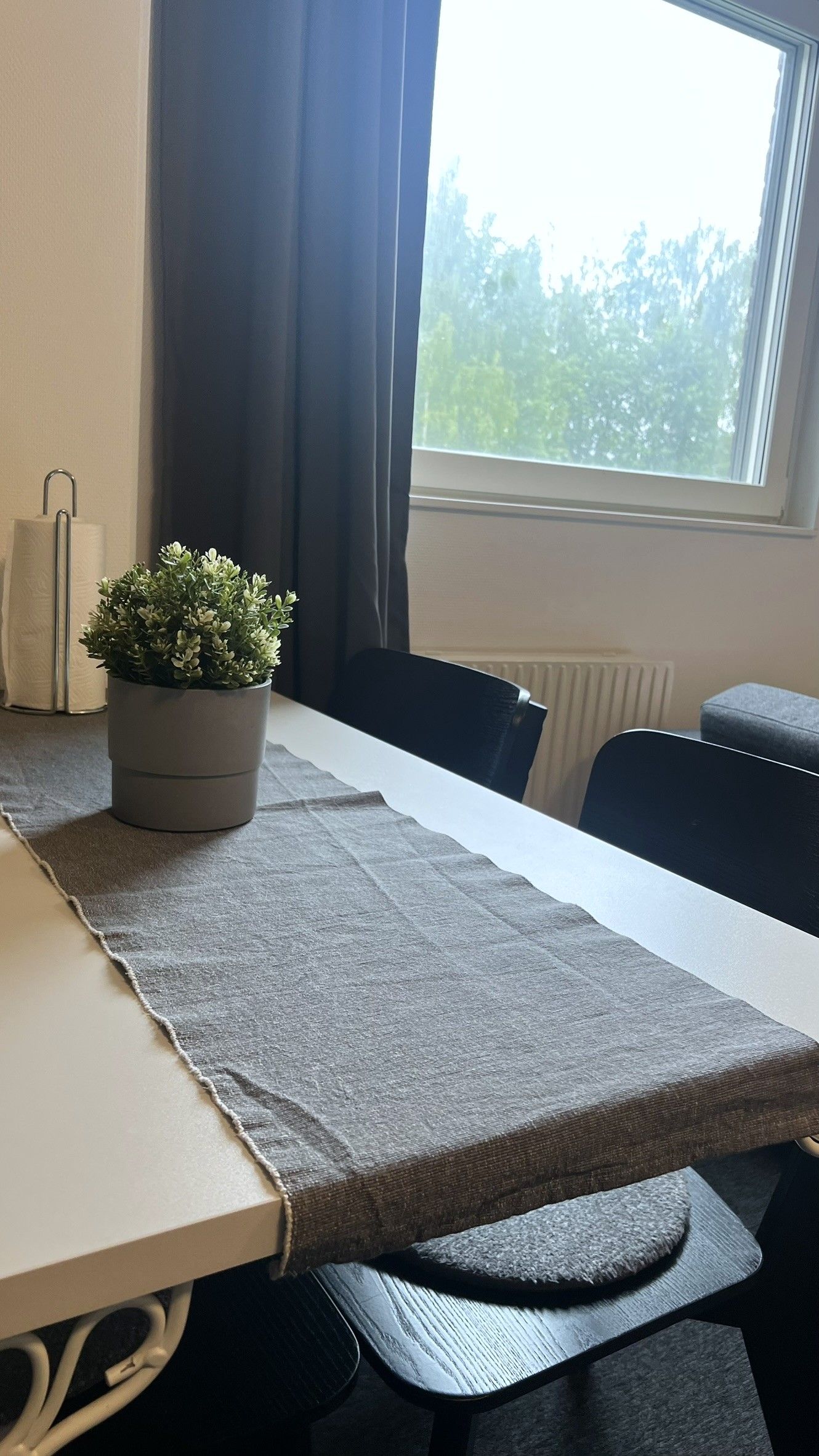 Una habitación con una mesa, sillas, una planta en maceta, un radiador y una ventana con vista a árboles.