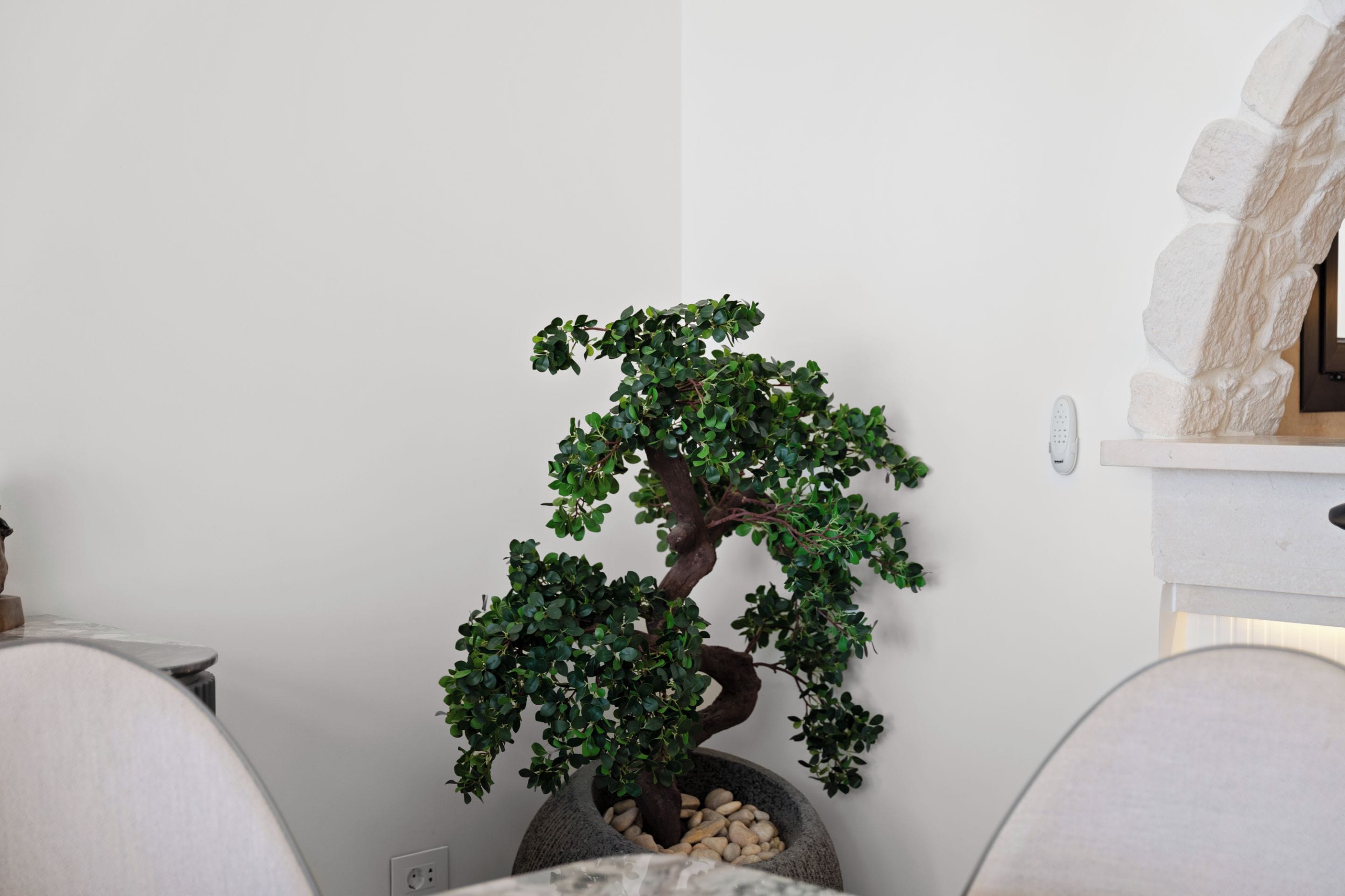 Ein Zimmer mit Bonsai-Baum, Steinwand und weißem Stuhl.