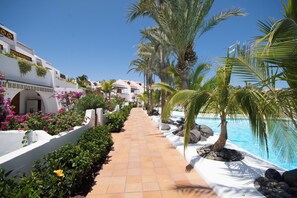 Ein Weg zu einem Pool mit Palmen und blauem Himmel.