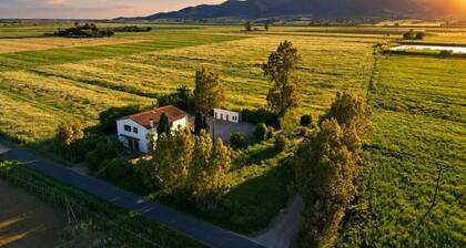 Podere Marchesi