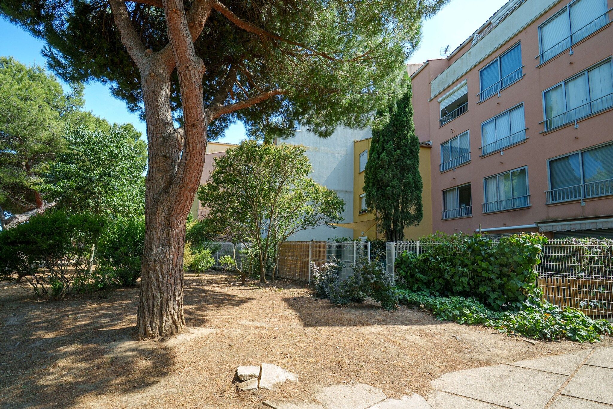 A courtyard with a large tree, a building with multiple windows, and a fence.