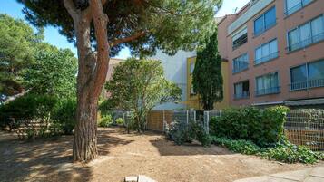 A courtyard with a large tree, a building with multiple windows, and a fence.