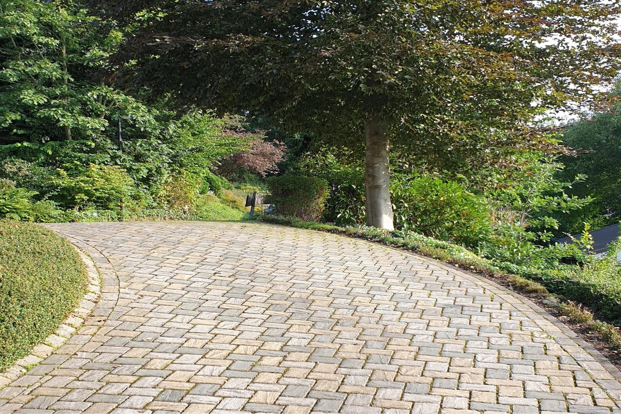 Een verhard pad dat kronkelend door een aangelegd gebied met weelderige beplanting en bomen loopt.