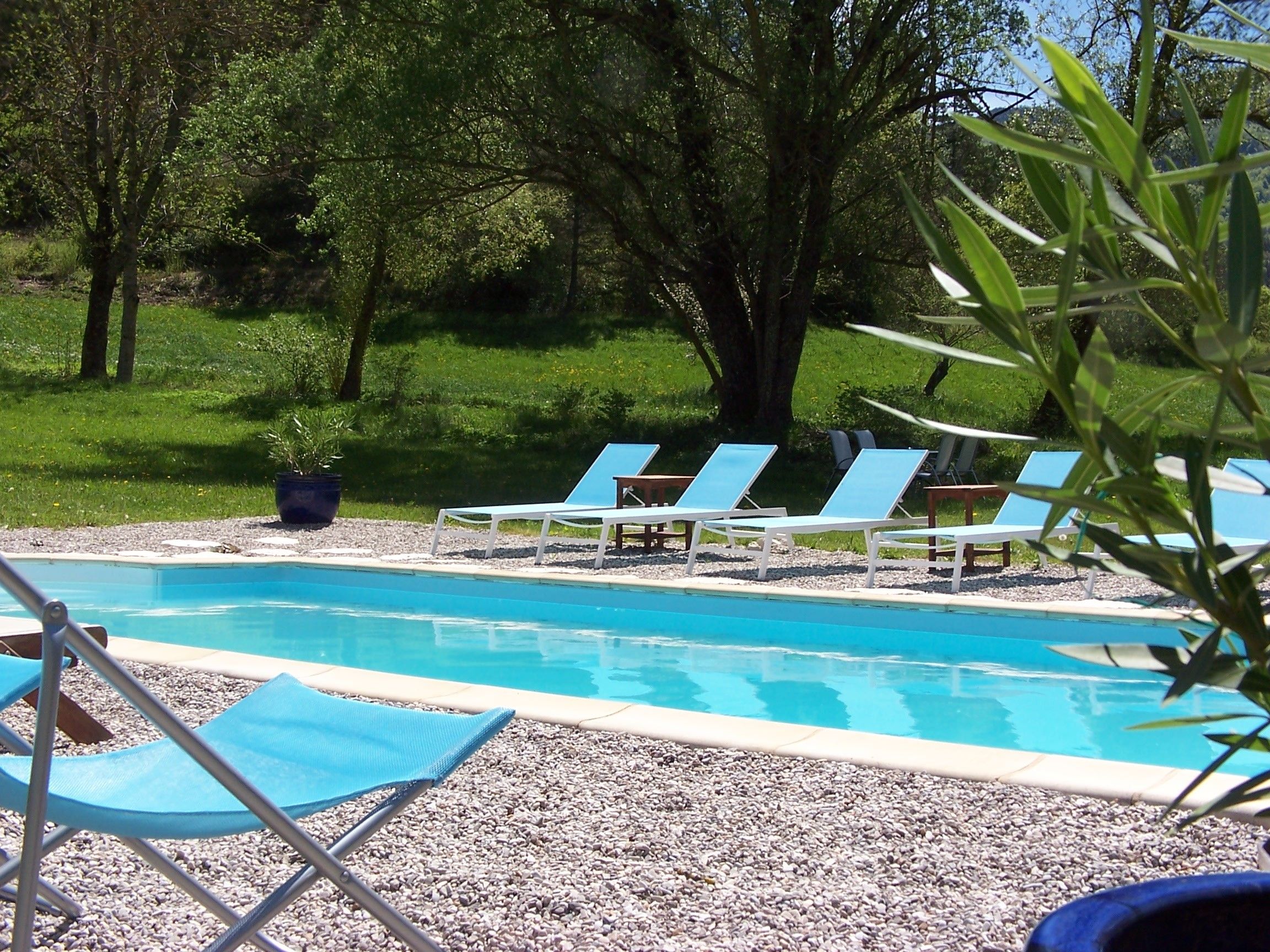 Una piscina amb cadires blaves i una planta en test.