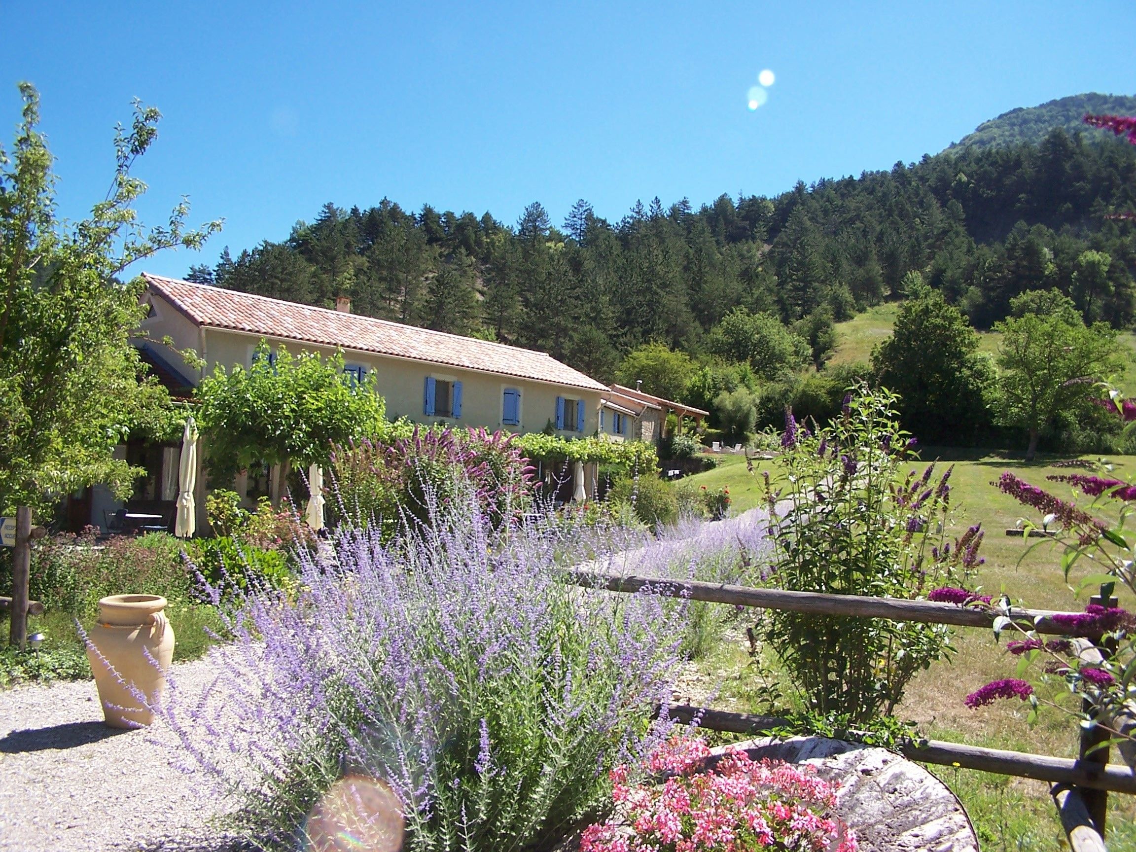 A house with a tiled roof, surrounded by a garden with lavender and other plants.