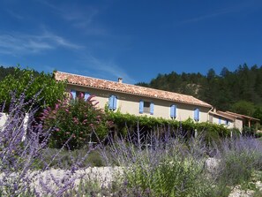 Um edifício com telhado de cerâmica, várias janelas e um jardim com flores roxas.