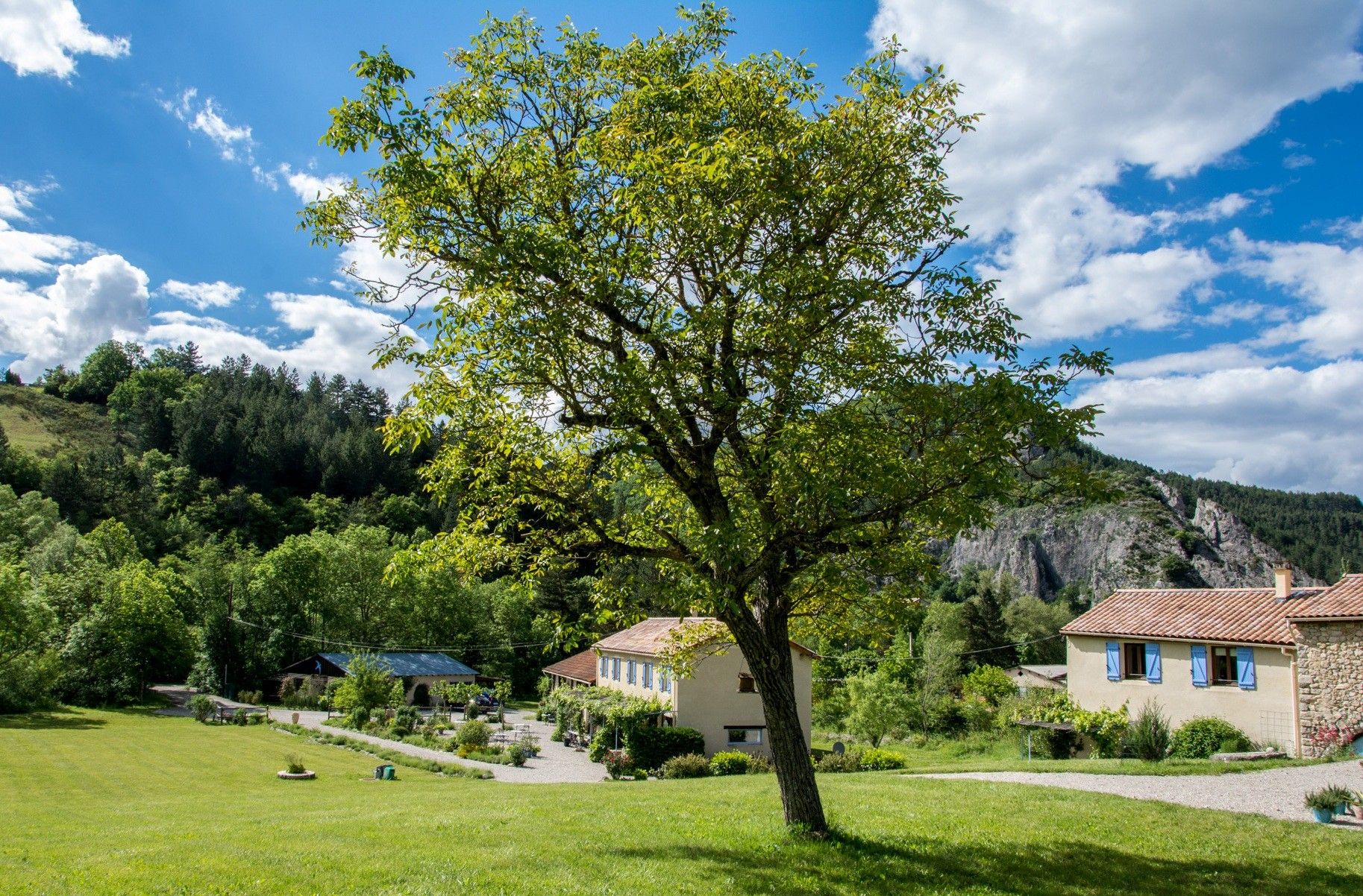 A rural landscape with a large tree, houses with red-tiled roofs, and a mountainous backdrop.