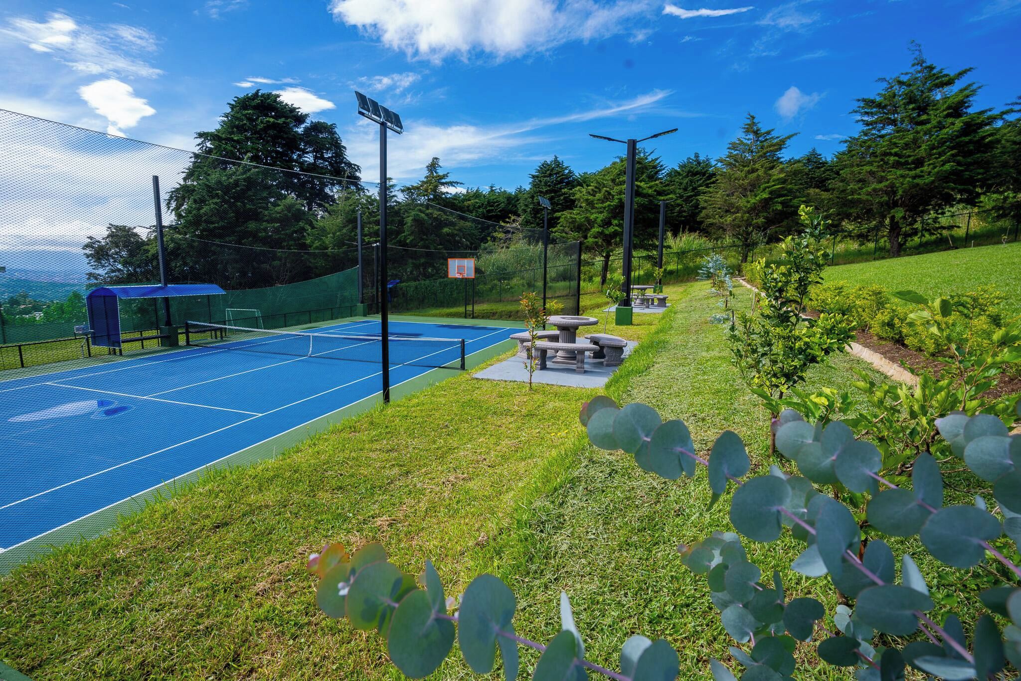 Sport court