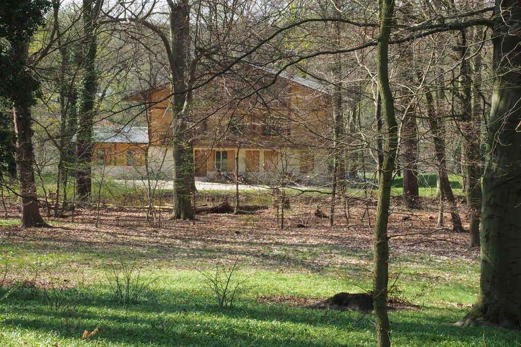 A rustic cabin surrounded by a wooded area with a grassy foreground.