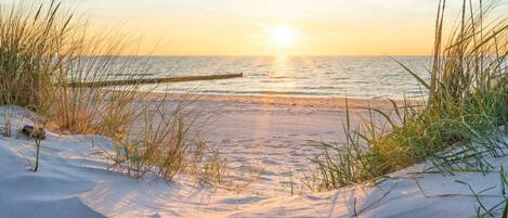 A beach scene with sand, grass, and a wooden structure.