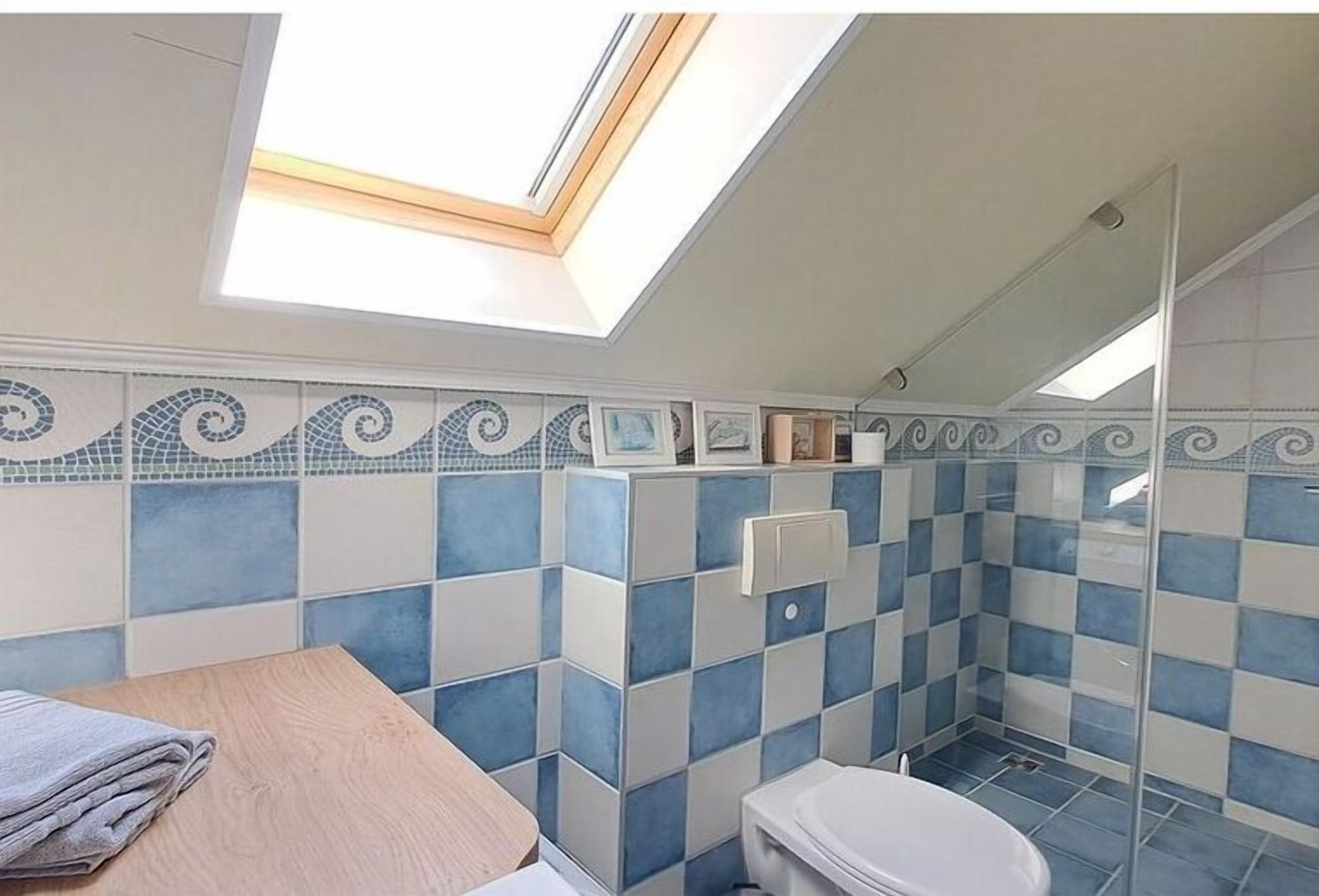 A bathroom with a skylight, checkered tiles, a toilet, and a shower area.