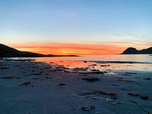 Una playa con algas dispersas y aguas tranquilas que reflejan la puesta de sol.