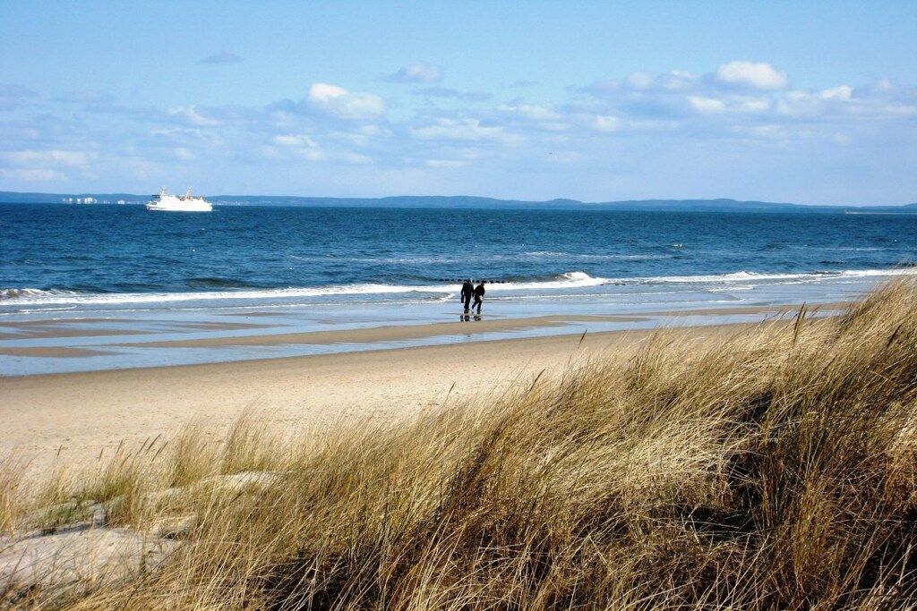 A beach with sand, grass, and a ship in the distance.