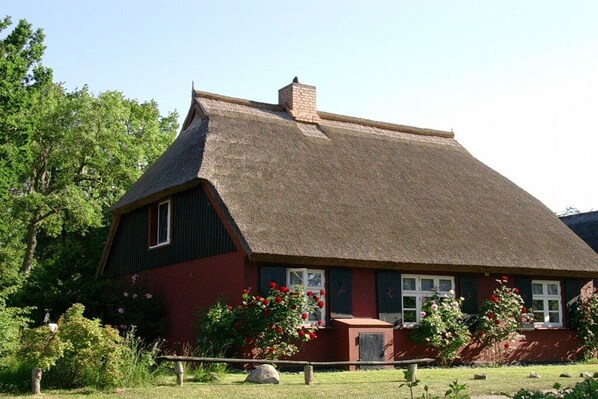 A traditional house with a steeply pitched roof, a chimney, and a small porch area. - Holiday home in Born with swimming pool (Born)