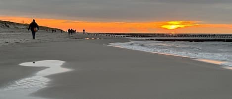 A beach with a sunset, a pier, and people walking.