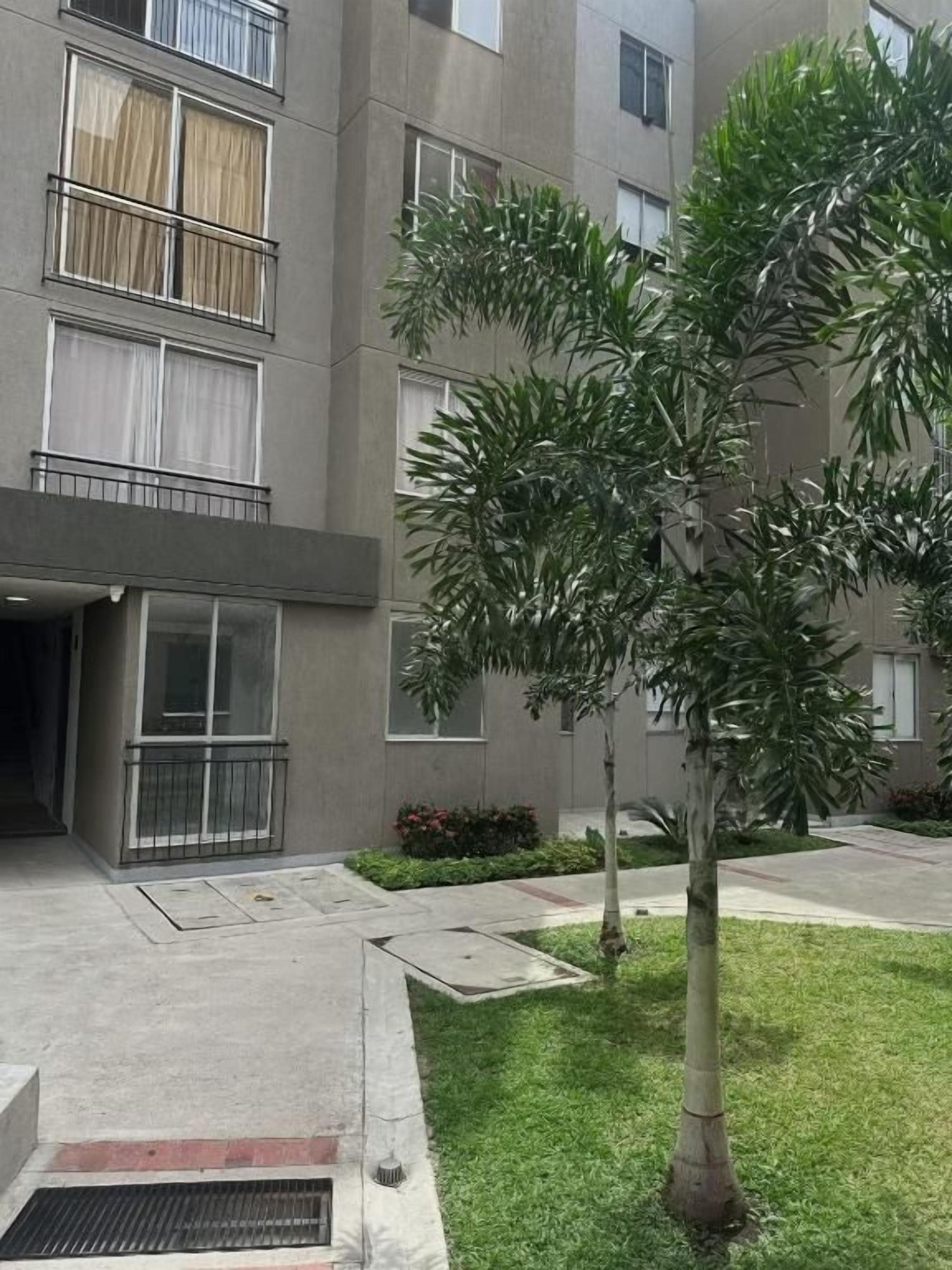 Un edificio con varias ventanas y balcones, un árbol pequeño en primer plano y una zona pavimentada con una rejilla de desagüe.