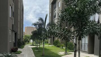 Un sendero bordeado por edificios modernos con balcones, rodeado de césped cuidado y palmeras.