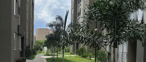 Un chemin bordé de bâtiments modernes dotés de balcons, entouré de pelouses bien entretenues et de palmiers.