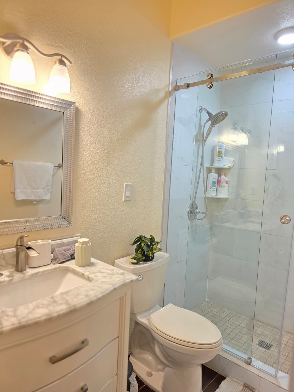 Un baño con lavamanos blanco, espejo y inodoro, ducha con puerta de vidrio y una planta en maceta sobre el inodoro.